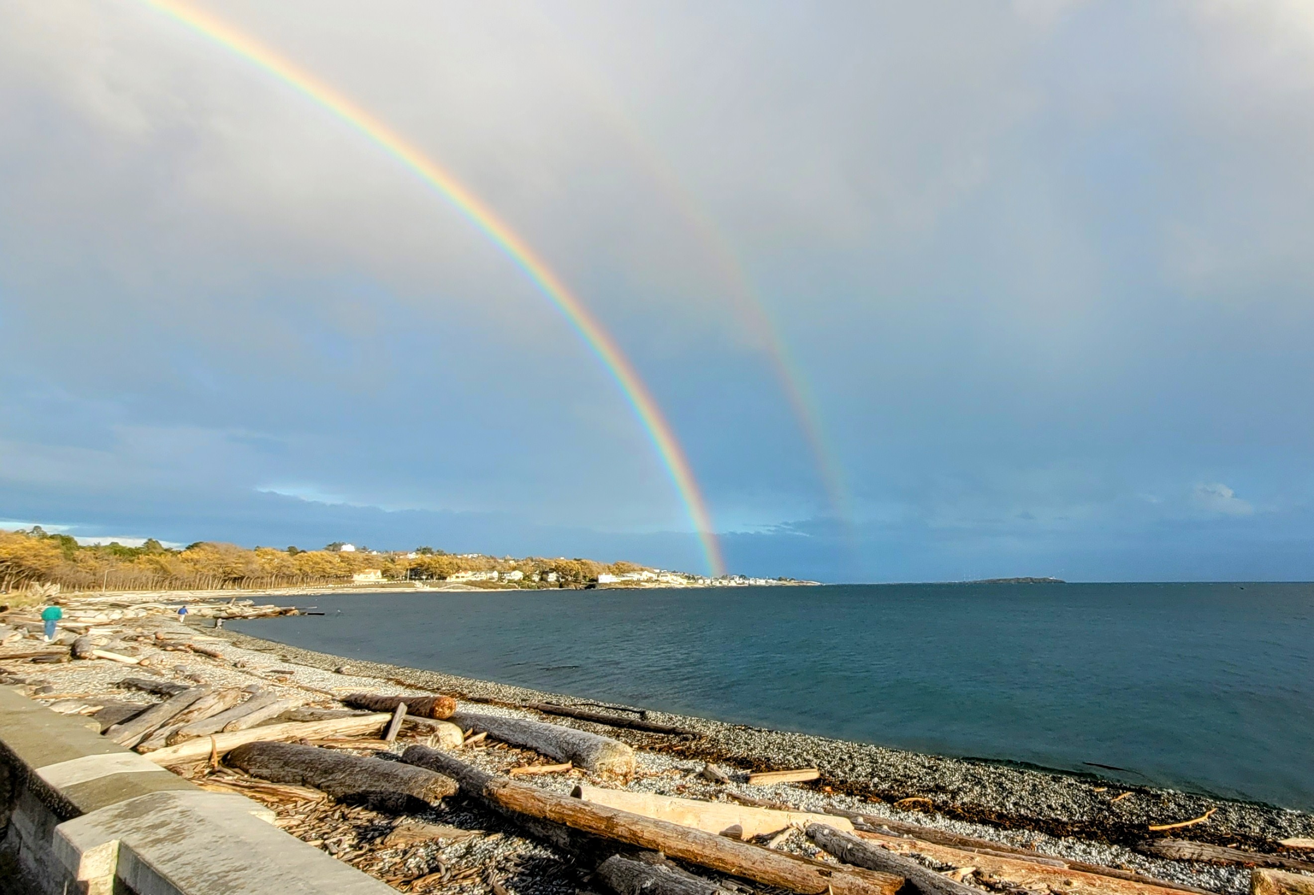 RossBay Rainbows
Sat Nov 4 2023 winging
