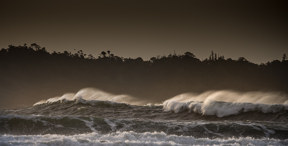 Marauders at dawn.
