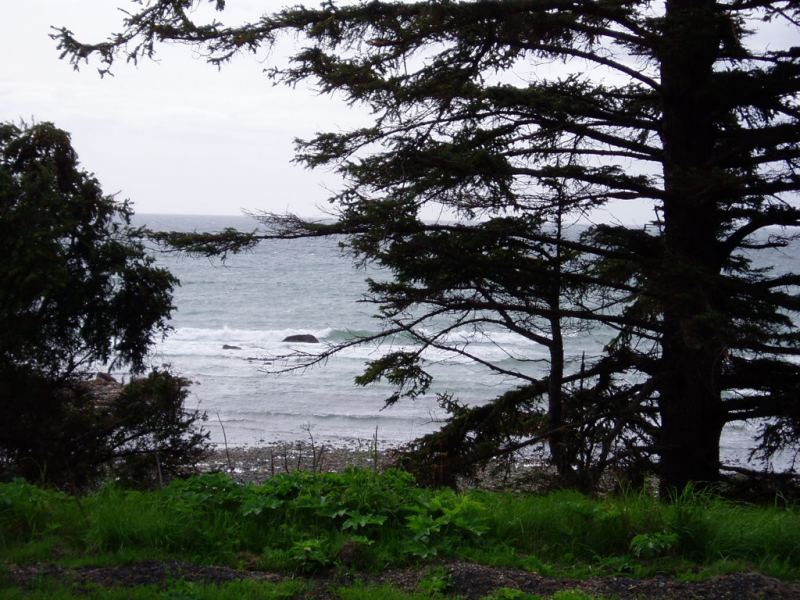 Dead Tree Point
Onshore here, but sideshore around the corner
