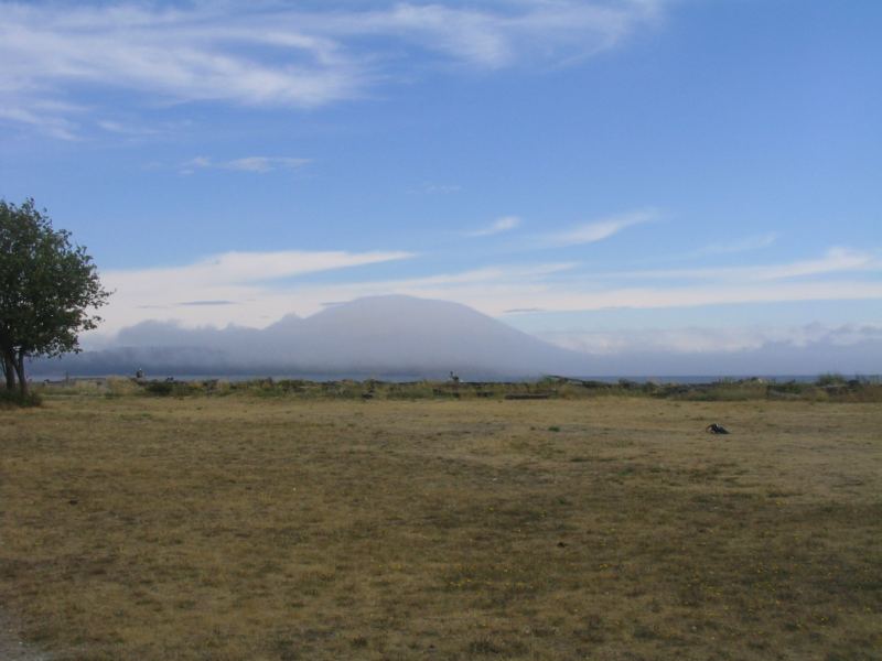 James Island in August fog
