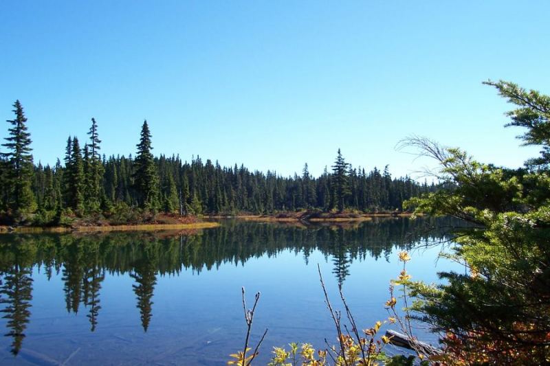 Battleship Lake, Mt. Wash
Island No-wind tripping
