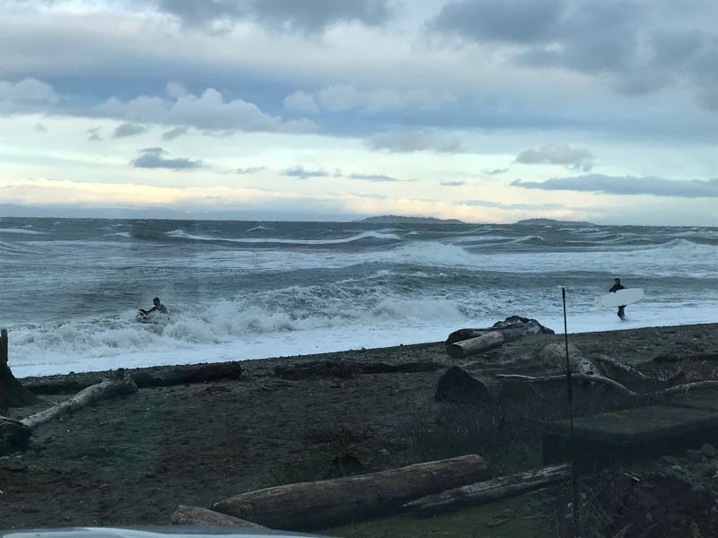 Surfers going for a â€œripâ€
