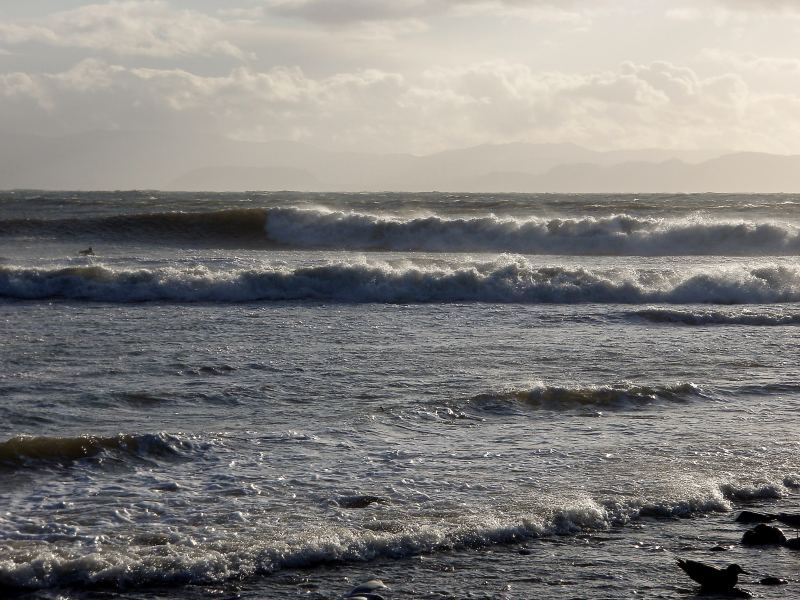 Loverly Waves
Go for it.
