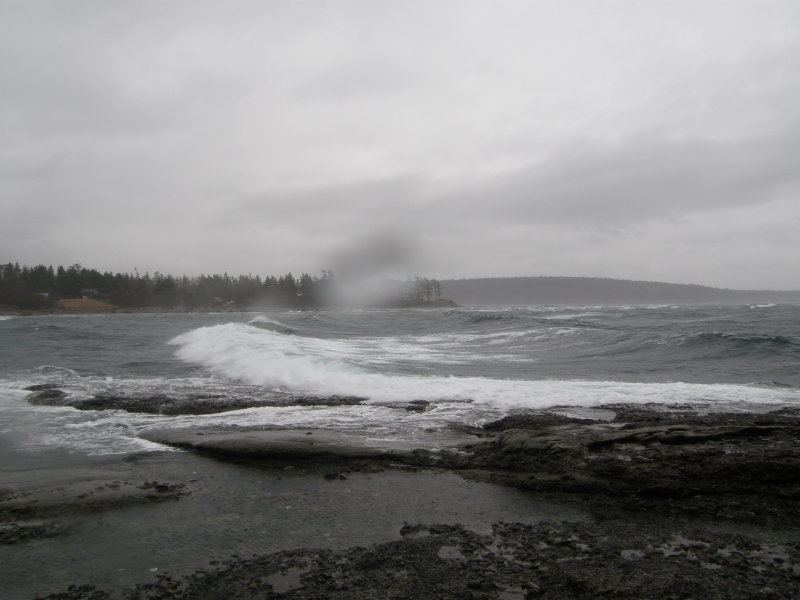 Jan. 3, 2012 Sandpiper Beach #2
