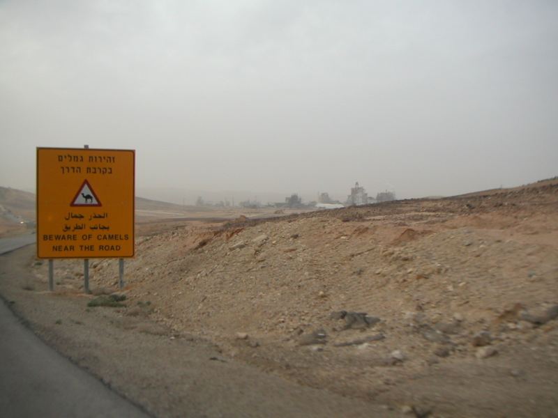 Camel Crossing
mark came across this in the judah desert
