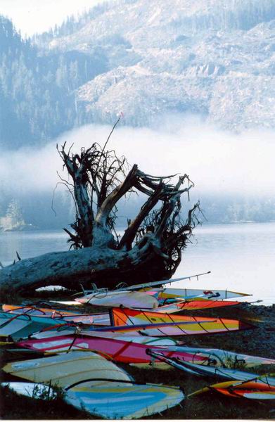 Nitinat Lake - September 1988
A blast from the past ! Early morning fog.
