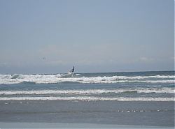 Long_Beach_0711.jpg