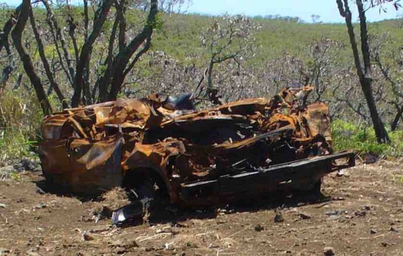 Dead_Rental_Car_Maui.jpg