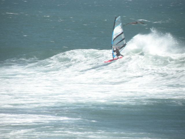 Check out the size of the pelican flying in the photo
