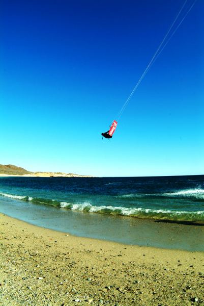 robin the little midget
ceralvo islan baja east cape
