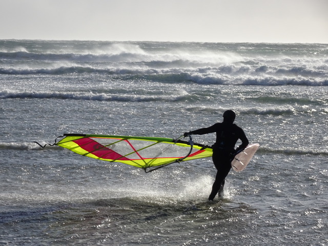 Tofino
