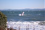 Agate_Beach_Dec_6_2009_073.jpg