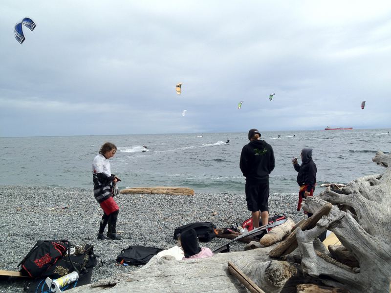 Birds and Kites 22July 2012
Cook St
