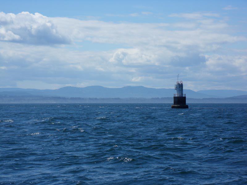 This is the famous Kelp Reef Island viewable from Island View Beach. You see it's called "Island View" because you can view the island of Kelp Reef. 
