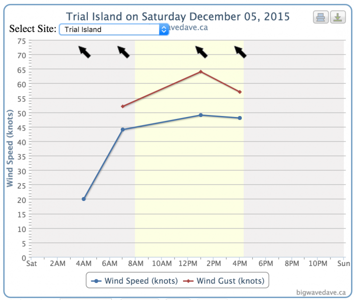 Little windy today
This is the wind at Wheels (Harry's) house. 
