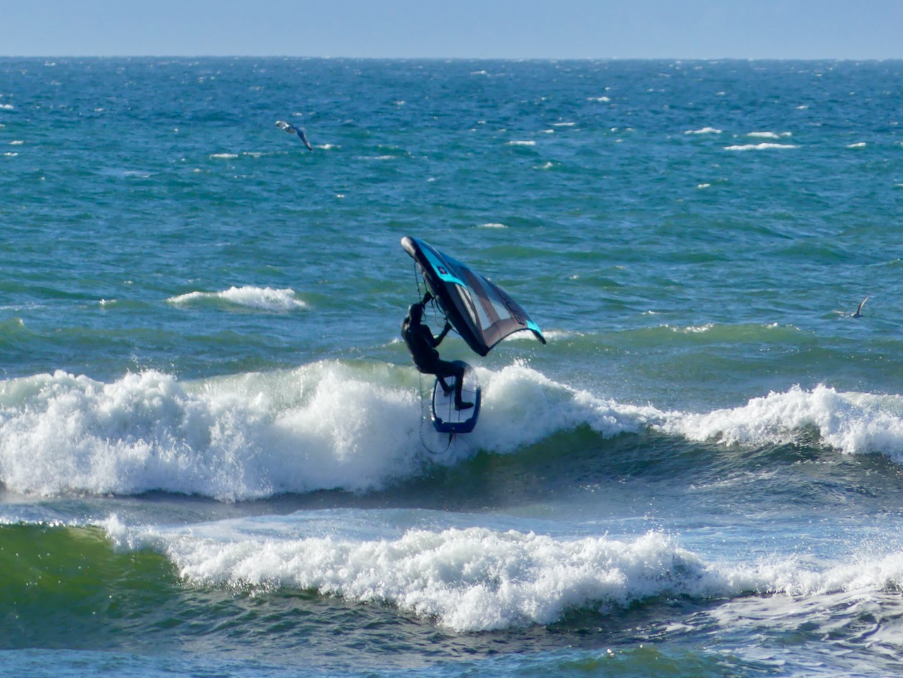 Tweezer at Ross Bay West
