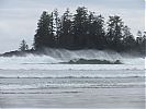 Tofino_May_2011_s.jpg