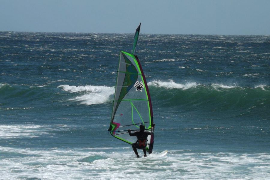 Windsurfish
