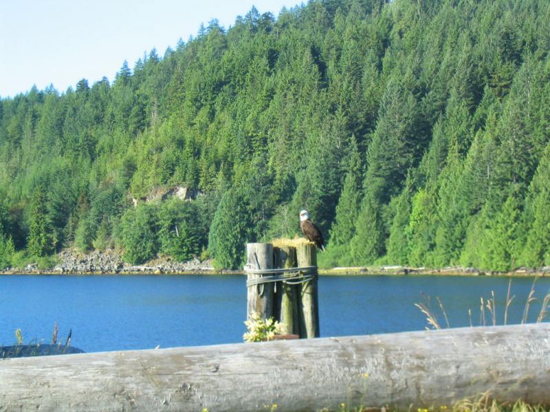 Macktush Creek Campground
Some of the beauty that surrounds us
