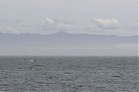 20130605_gordons-windsurf_0317.JPG