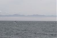 20130605_gordons-windsurf_0339.JPG