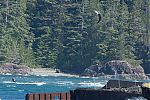 20140603-Kelsey_Bay-0011.jpg