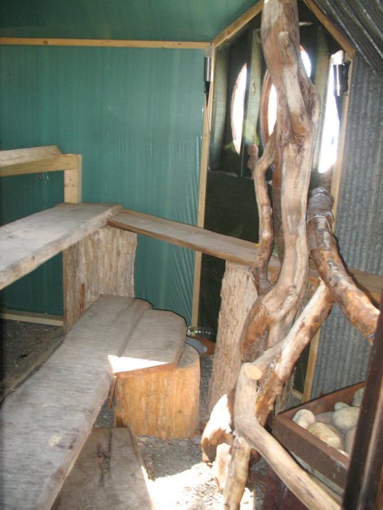 Sauna4.jpg